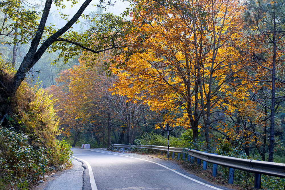 Autumn in Kumaon