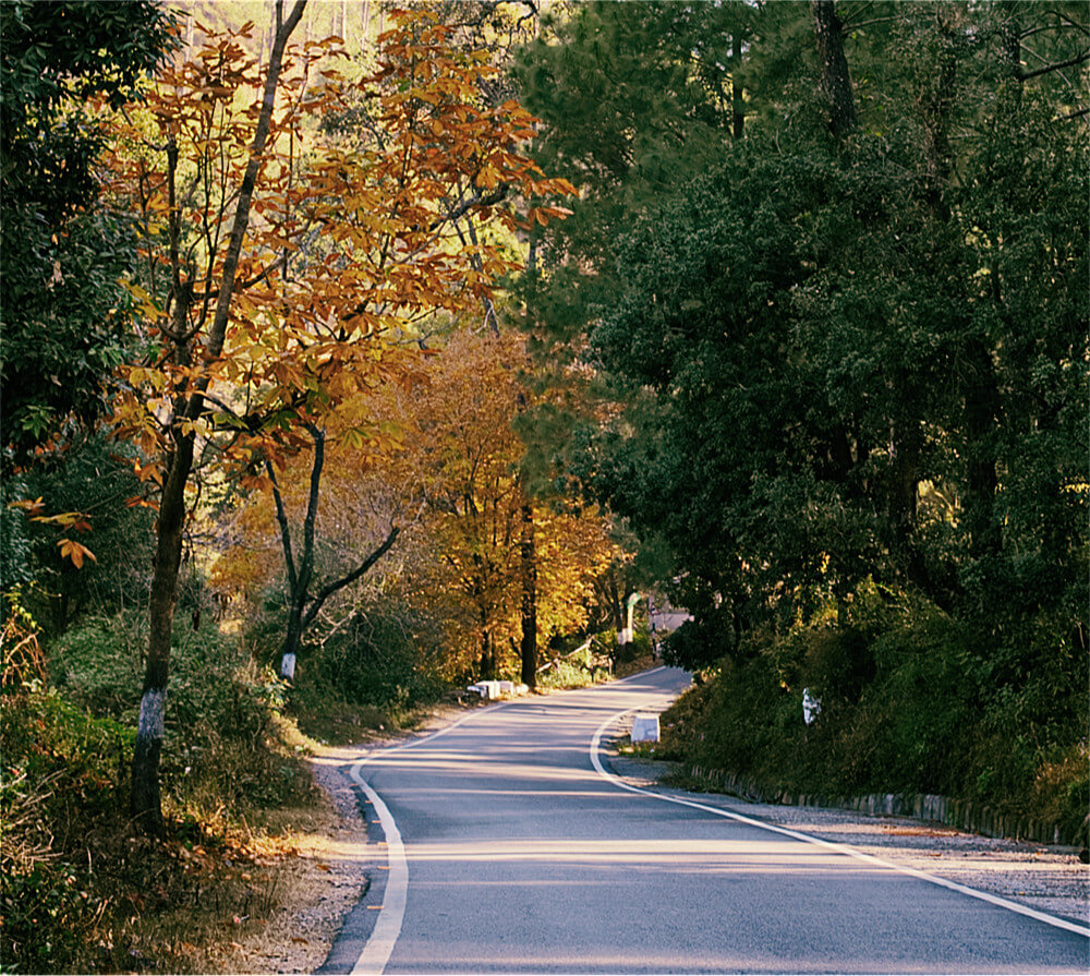 Drive to Maini's Hill Cottages