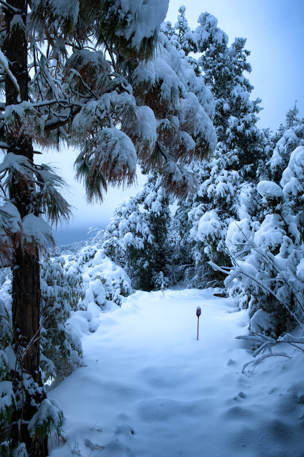 Snow-covered Mini-Golf
