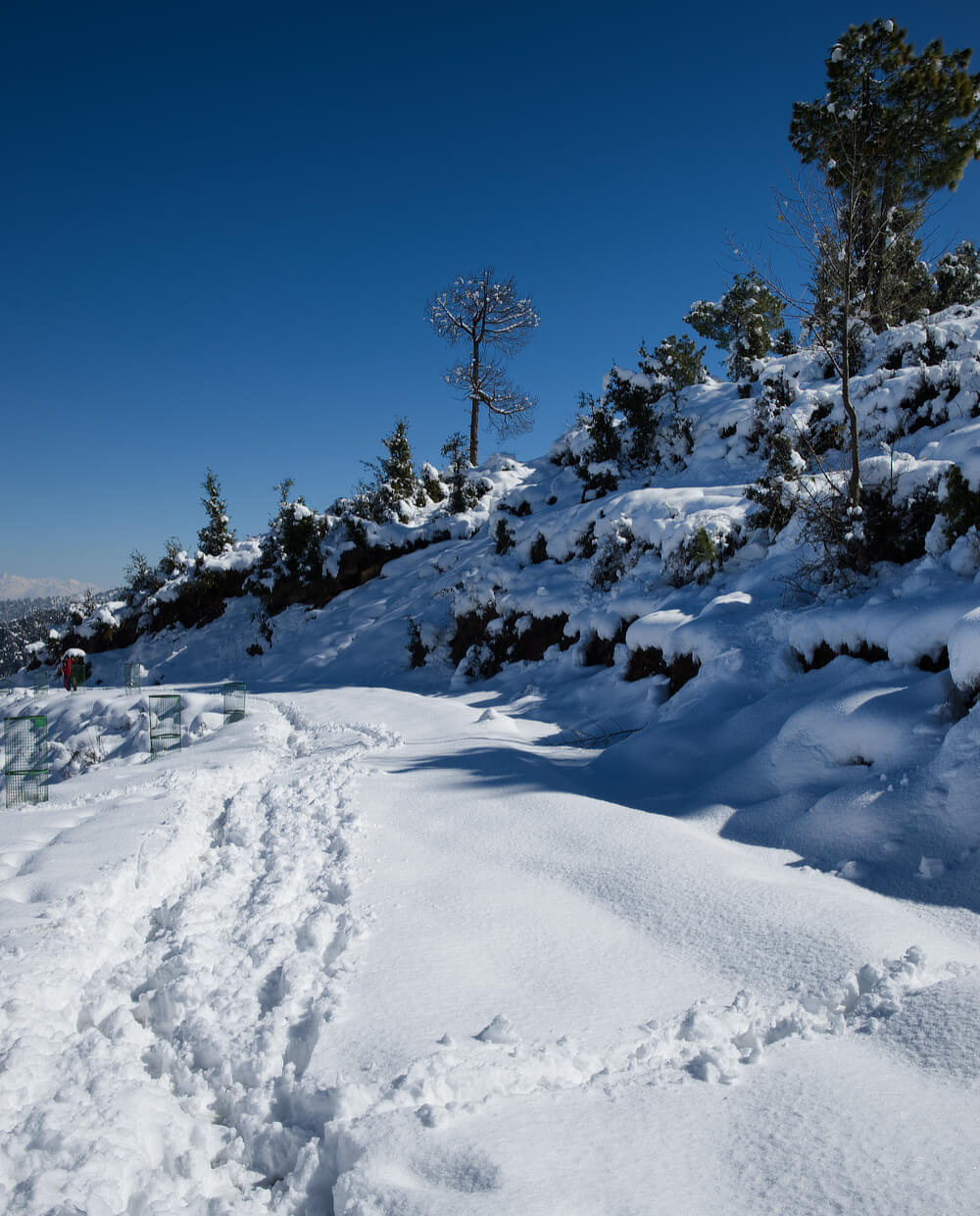 Going for a long walk and observing one's own footprints is blissful