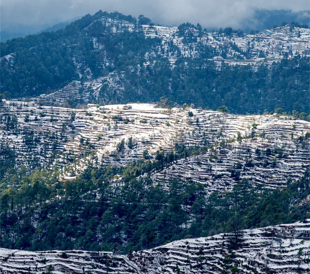 Terrace Farms during Winters