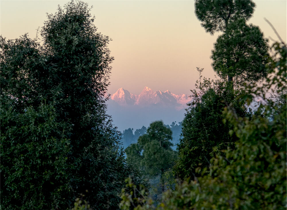 Peaks behind the Trees