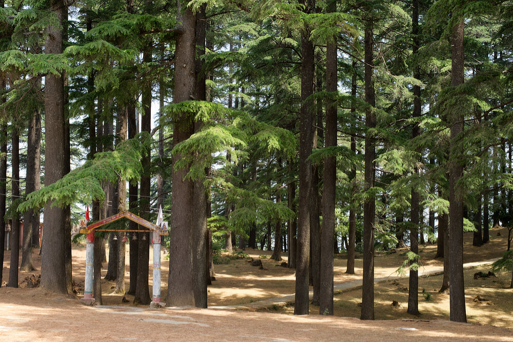 Pathway to second temple