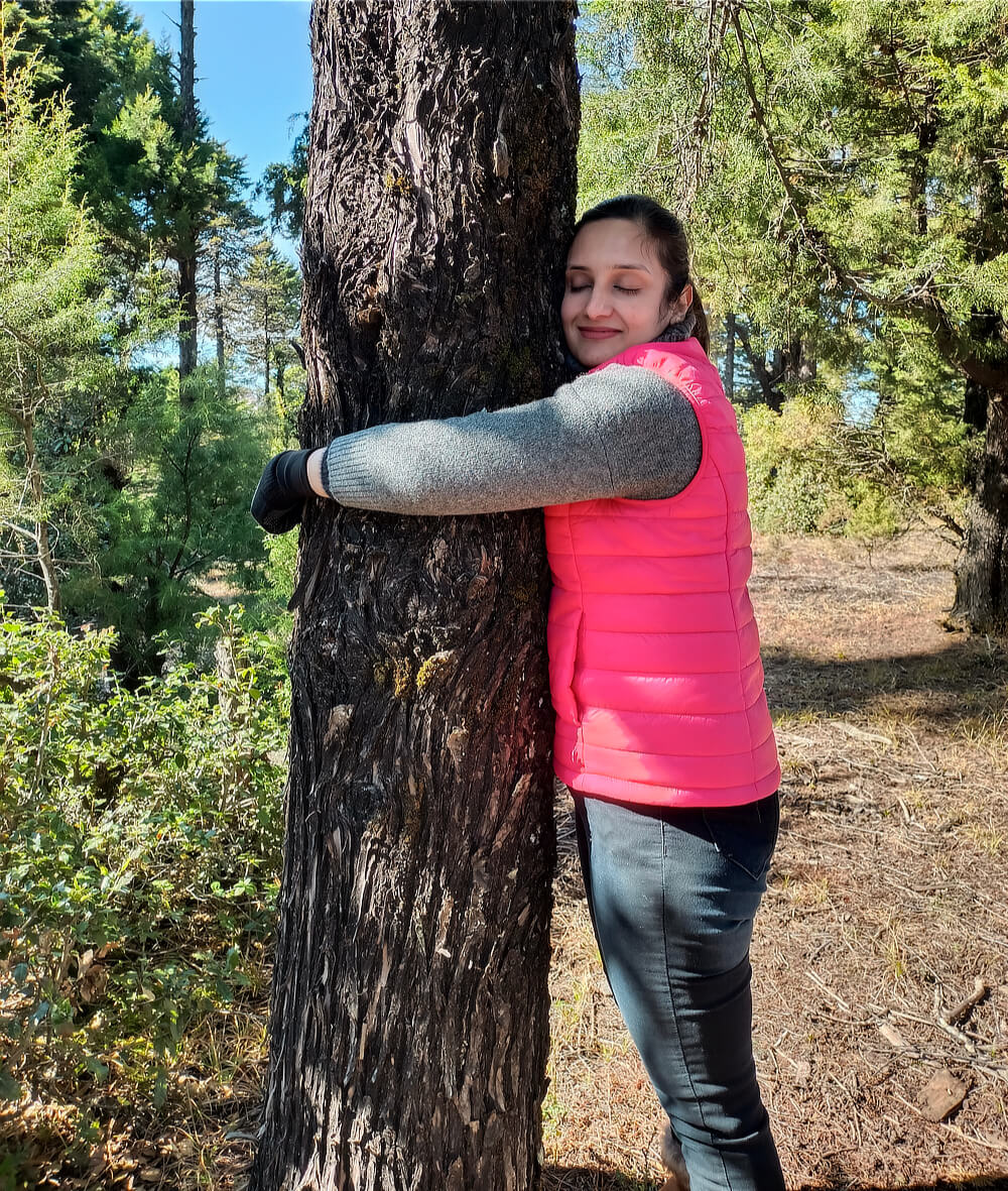 Tree Hugging