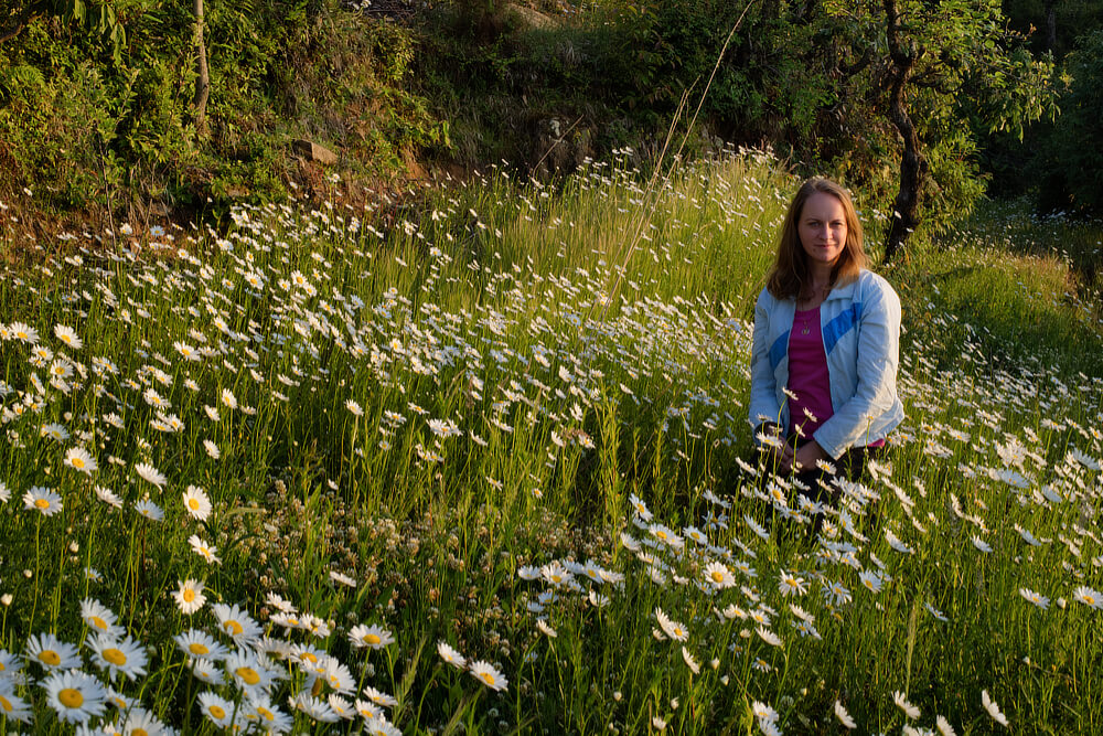 It's nice to relax among Wild Flowers