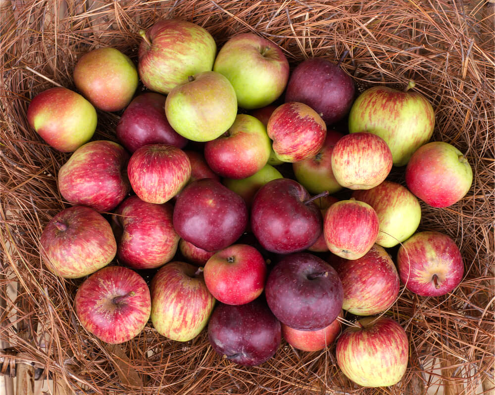 Our Organically Grown Apples