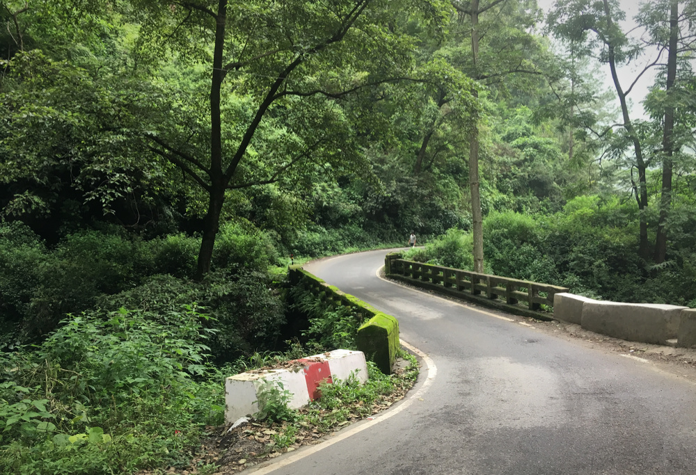 Bridge on the stream