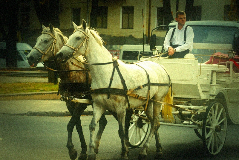 Horse Carriage