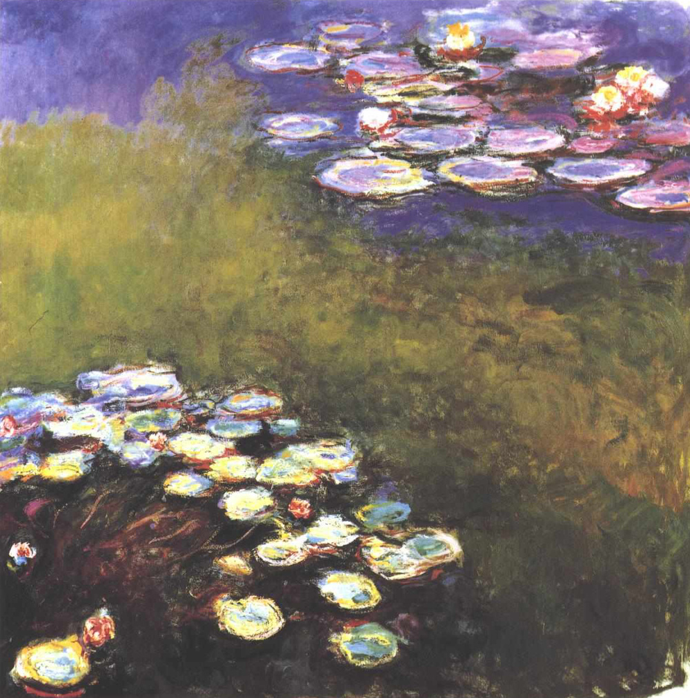 Water Lilies