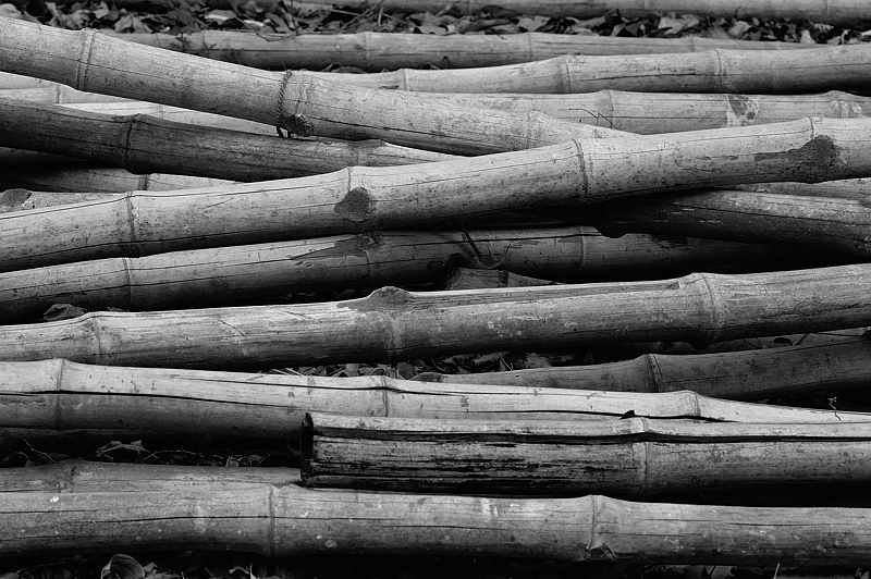 Stack of Bamboo
