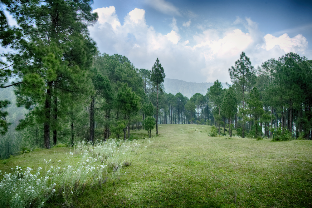 Final landscape after retouching