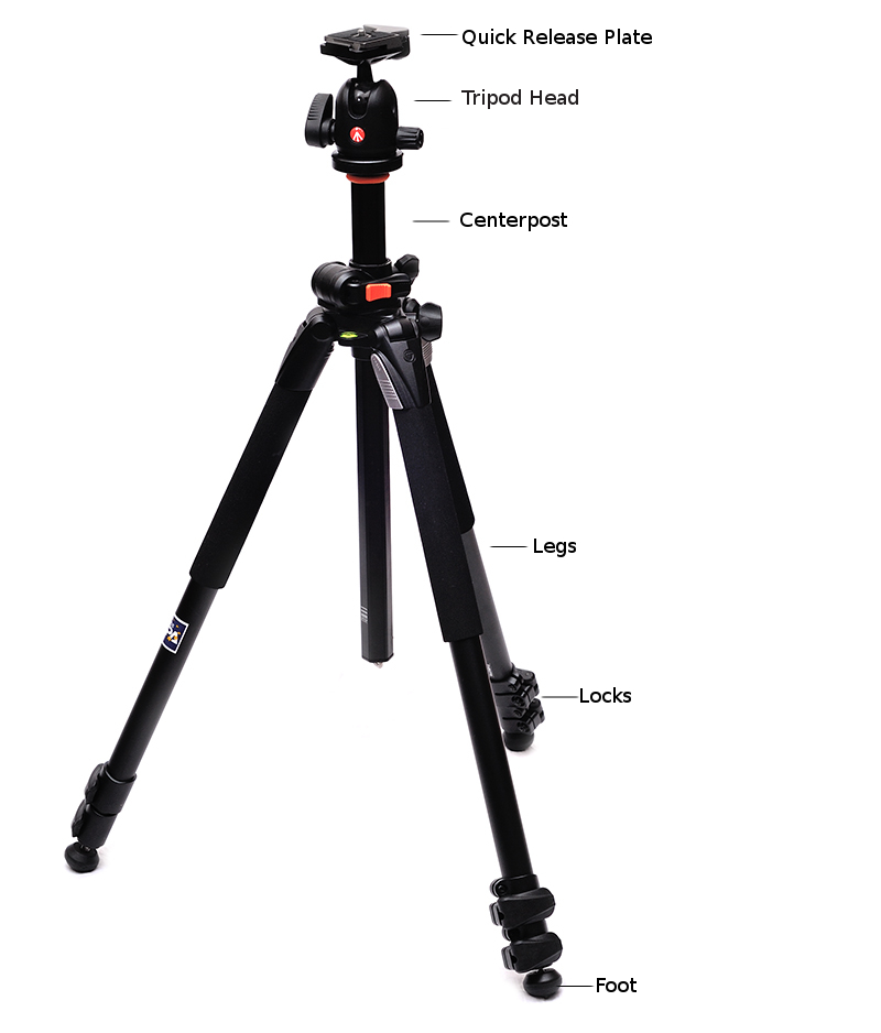 Tripod