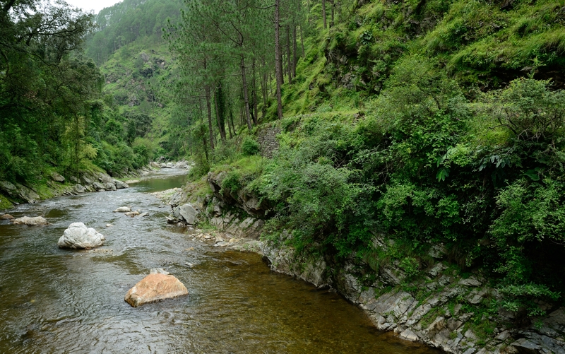 Non-Polarized Landscape