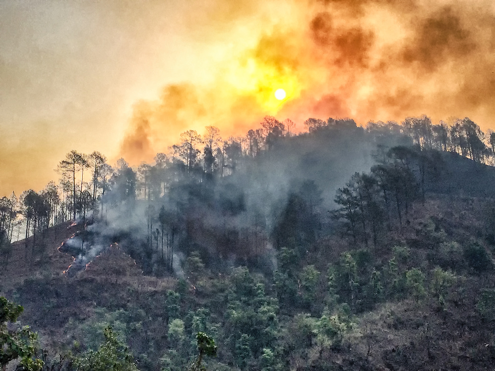 Forest Fire near Bhimtal