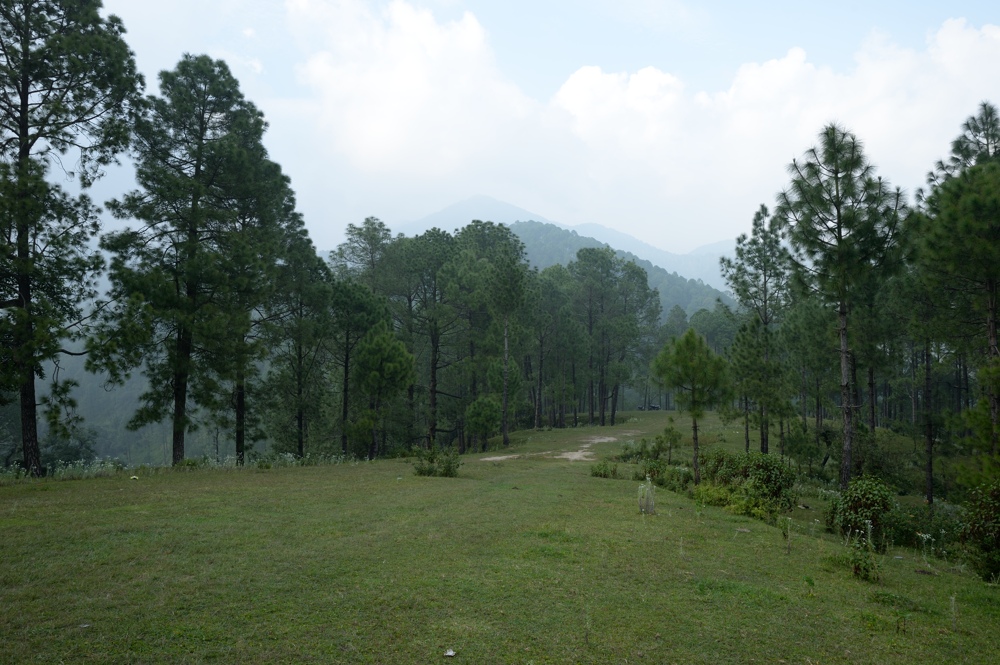 Directly out of the camera from where I stood