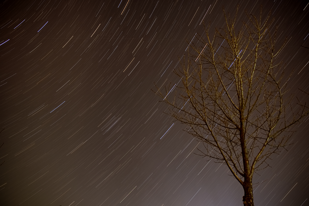 Star Trails