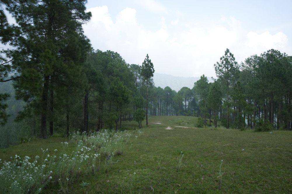 Changed composition of the scene