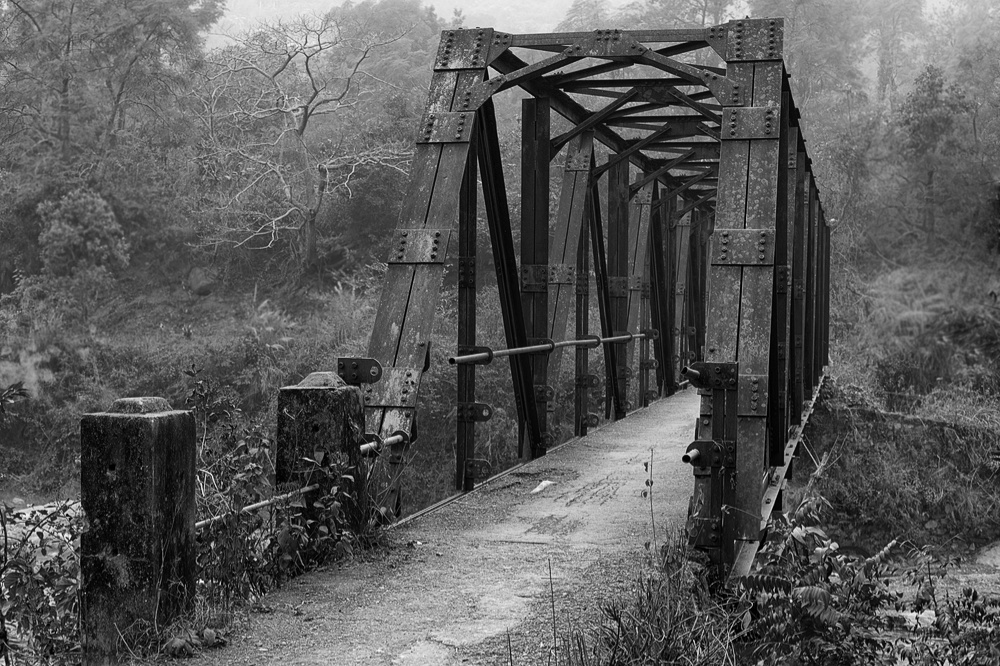 Abandoned Bridge