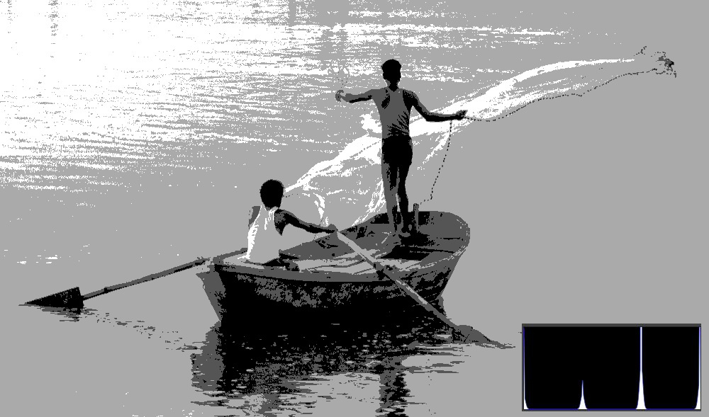 Posterized image with histogram overlaid