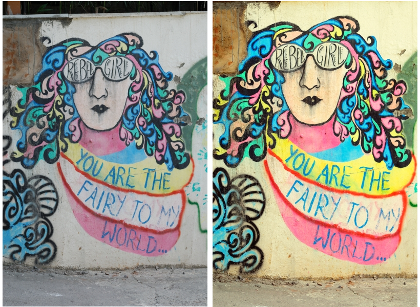 Out of the camera image and post processed RAW