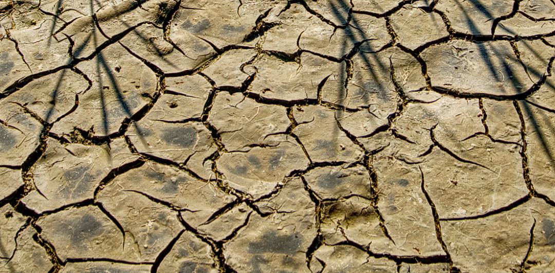 Dry Earth