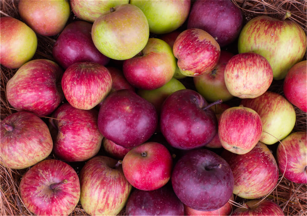 Various Varieties of Apples
